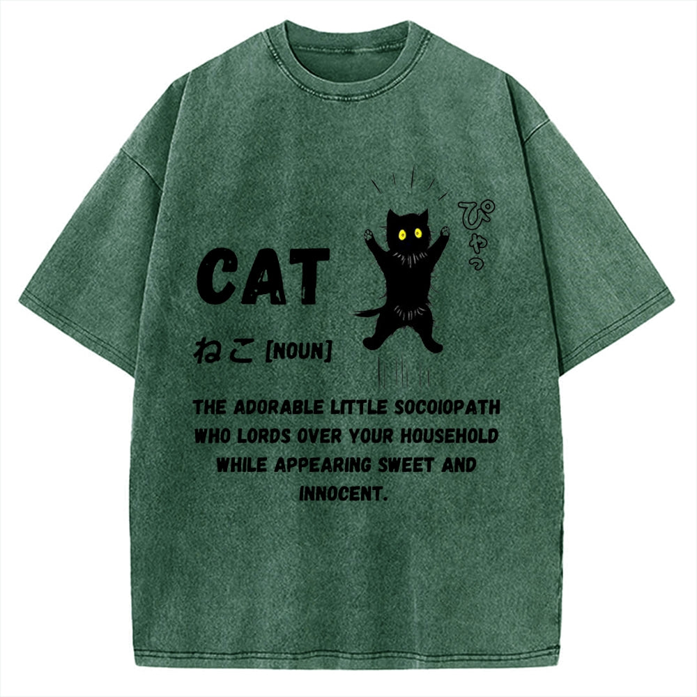 Definition Of Cat Vintage Washed T-shirt