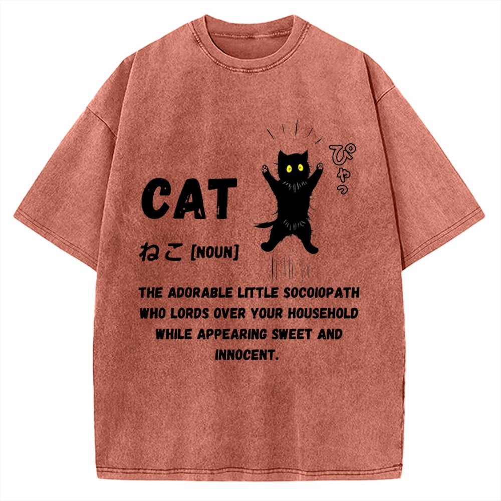 Definition Of Cat Vintage Washed T-shirt