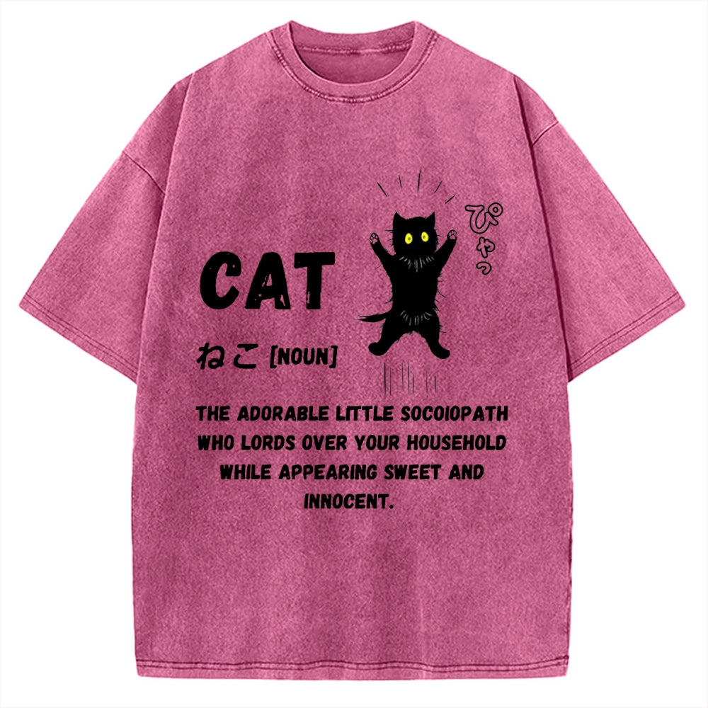 Definition Of Cat Vintage Washed T-shirt
