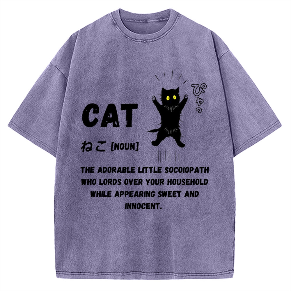 Definition Of Cat Vintage Washed T-shirt