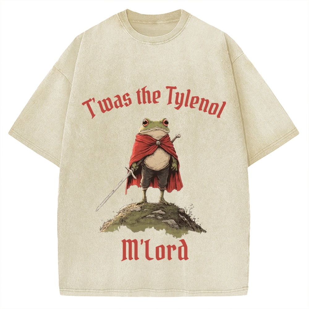 Funny Medieval Frog Knight twas the Tism M'lord Meme Vintage Washed T-shirt