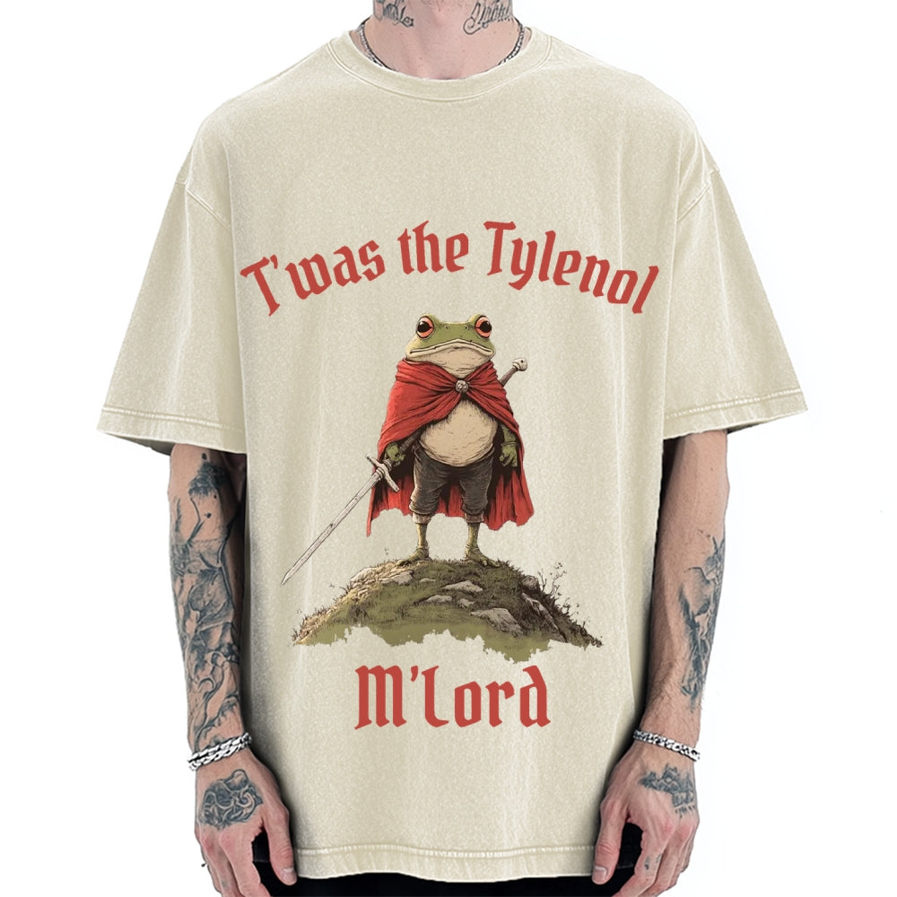 Funny Medieval Frog Knight twas the Tism M'lord Meme Vintage Washed T-shirt