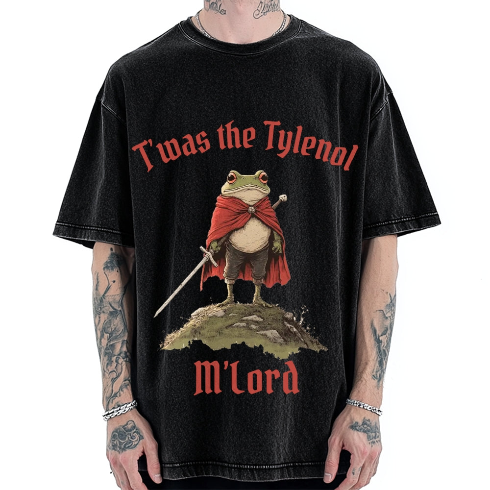 Funny Medieval Frog Knight twas the Tism M'lord Meme Vintage Washed T-shirt