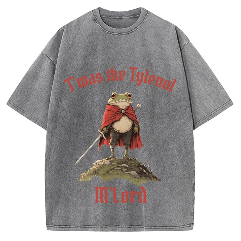 Funny Medieval Frog Knight twas the Tism M'lord Meme Vintage Washed T-shirt