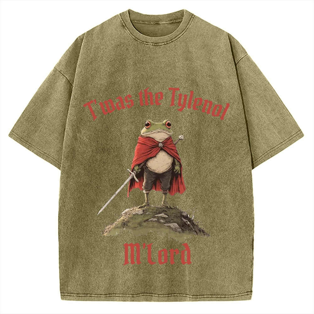 Funny Medieval Frog Knight twas the Tism M'lord Meme Vintage Washed T-shirt