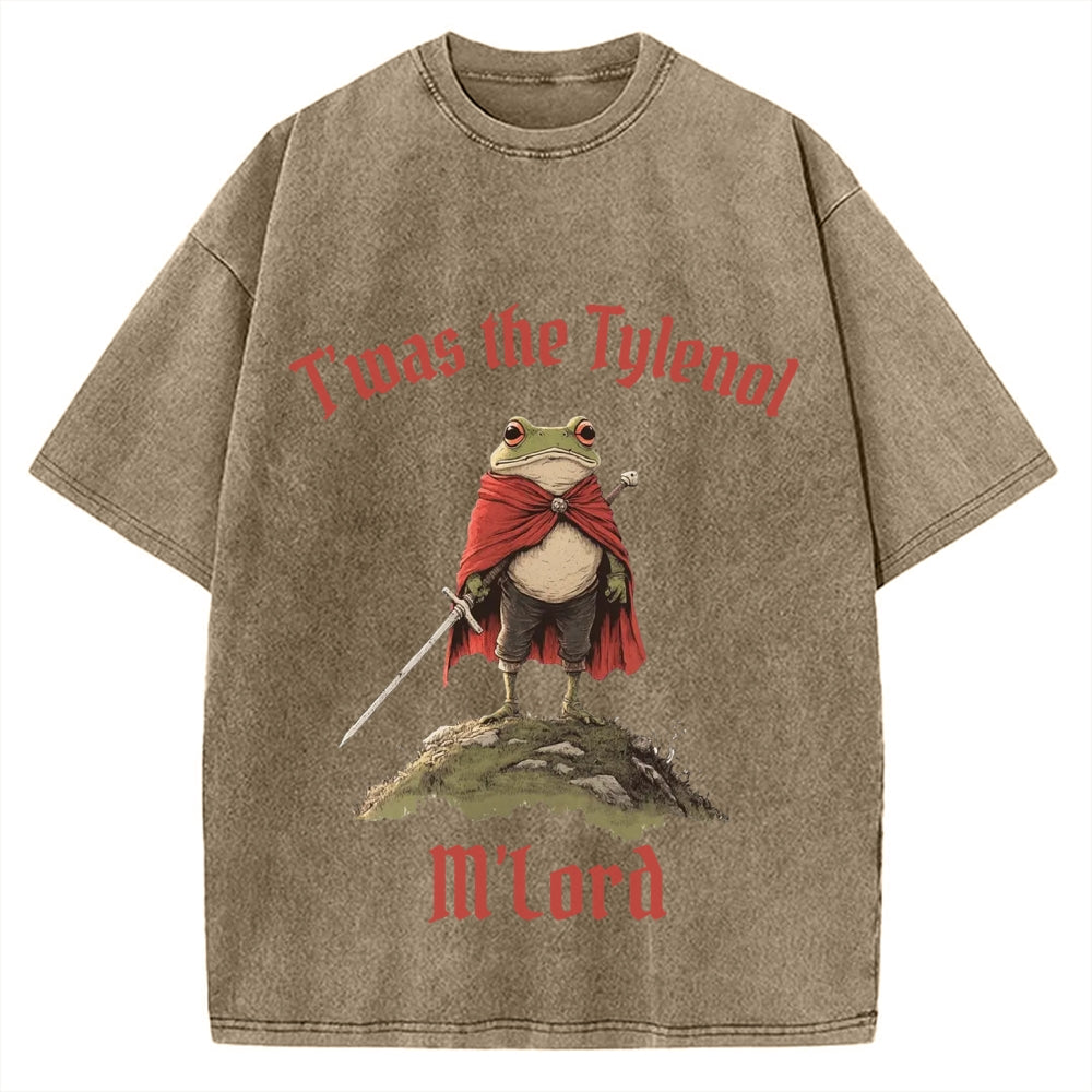 Funny Medieval Frog Knight twas the Tism M'lord Meme Vintage Washed T-shirt