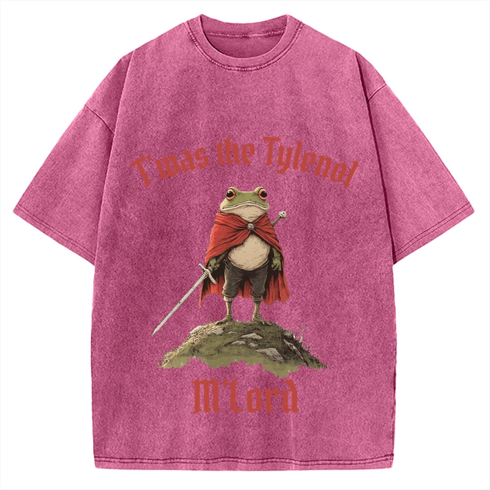 Funny Medieval Frog Knight twas the Tism M'lord Meme Vintage Washed T-shirt