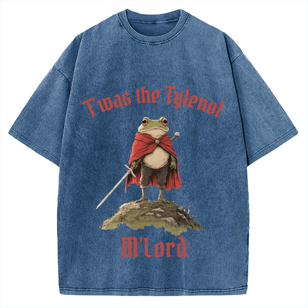 Funny Medieval Frog Knight twas the Tism M'lord Meme Vintage Washed T-shirt