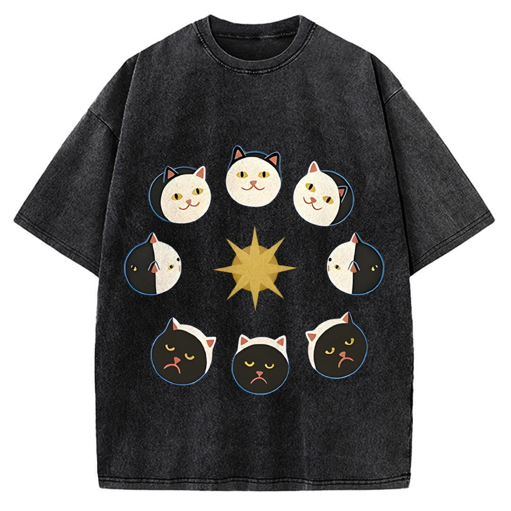 Van Gogh Cat Vintage Washed T-shirt