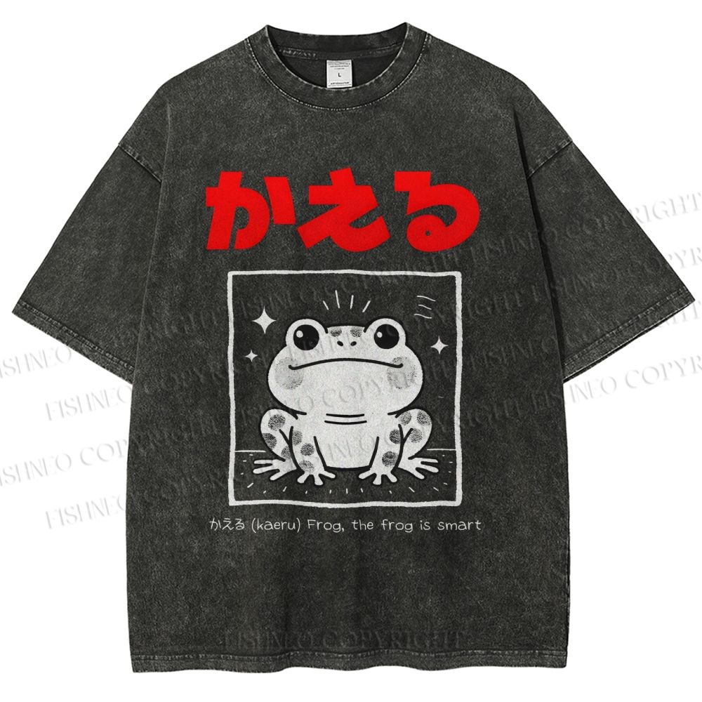 Unisex The Frog Is Smart Printed Washed Tee