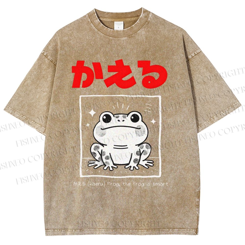 Unisex The Frog Is Smart Printed Washed Tee