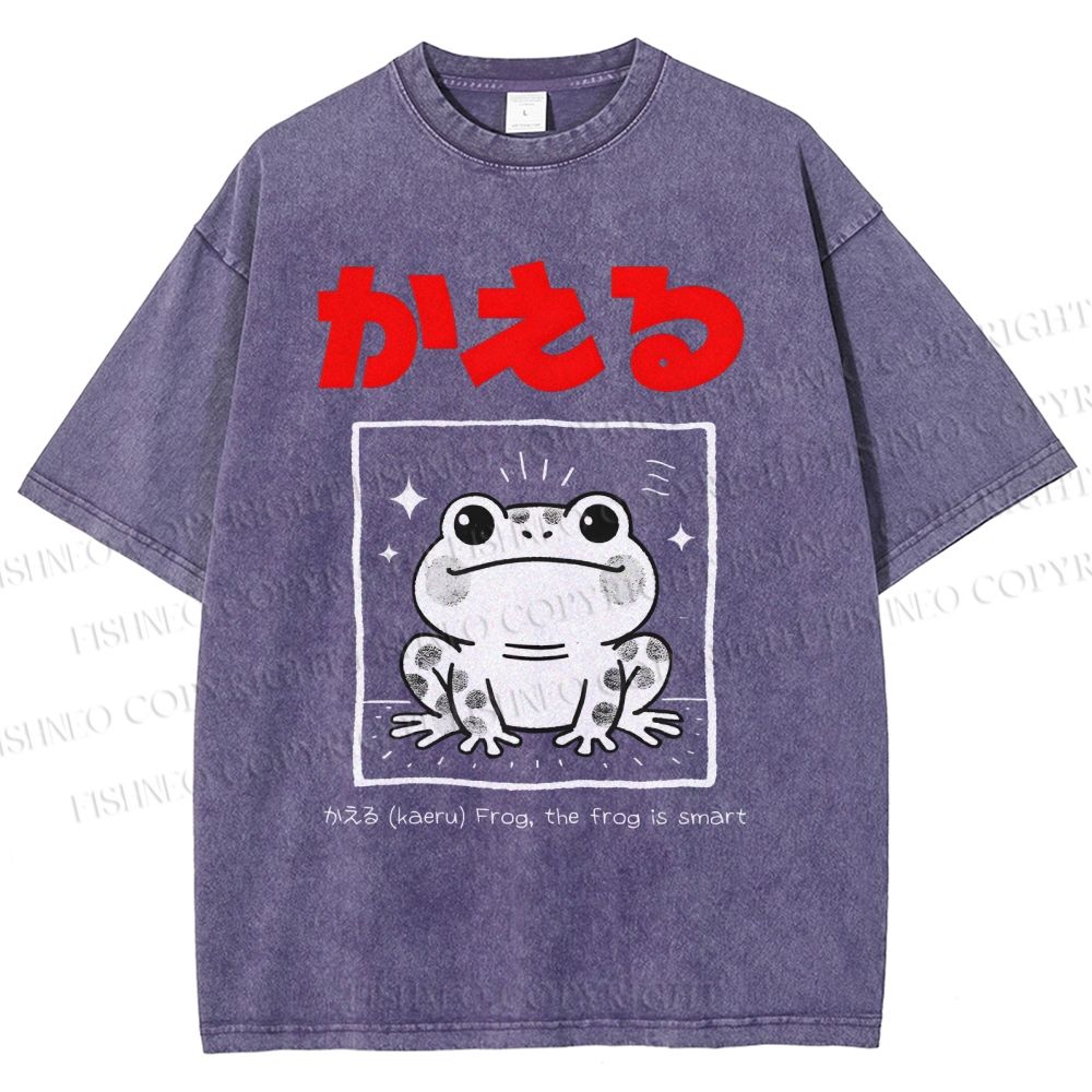 Unisex The Frog Is Smart Printed Washed Tee