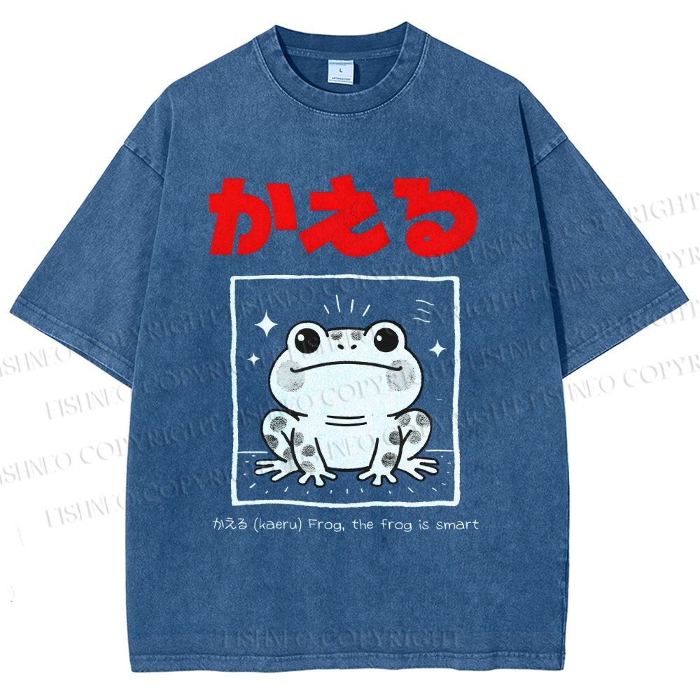Unisex The Frog Is Smart Printed Washed Tee