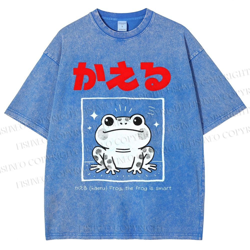 Unisex The Frog Is Smart Printed Washed Tee
