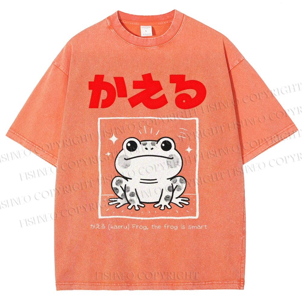 Unisex The Frog Is Smart Printed Washed Tee