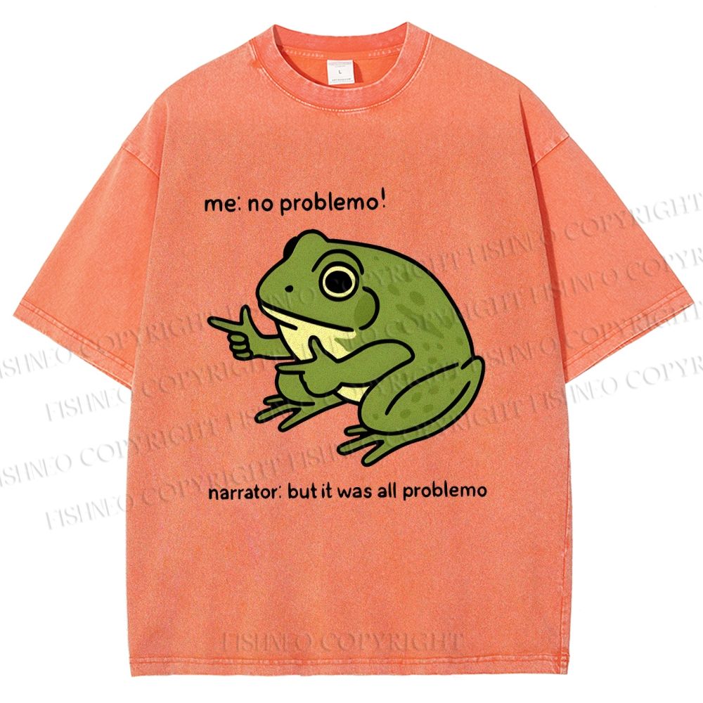 Unisex Stupid Frog Meme Printed Washed Tee