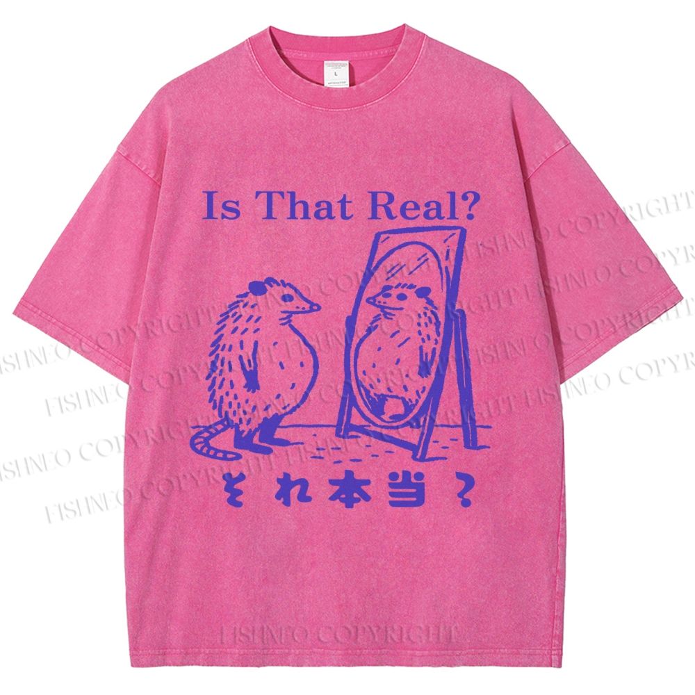 Unisex  Is That Real Funny Opossum In Mirror Printed Washed Tee
