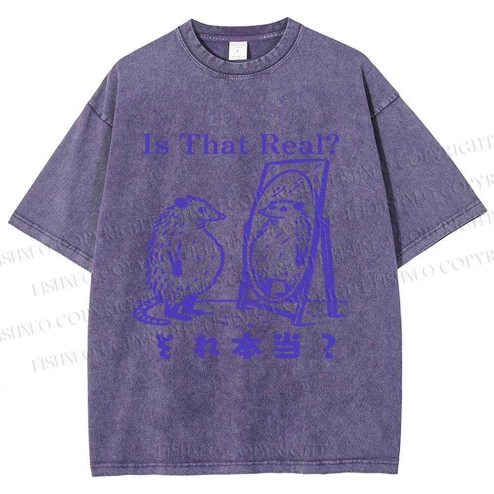 Unisex  Is That Real Funny Opossum In Mirror Printed Washed Tee
