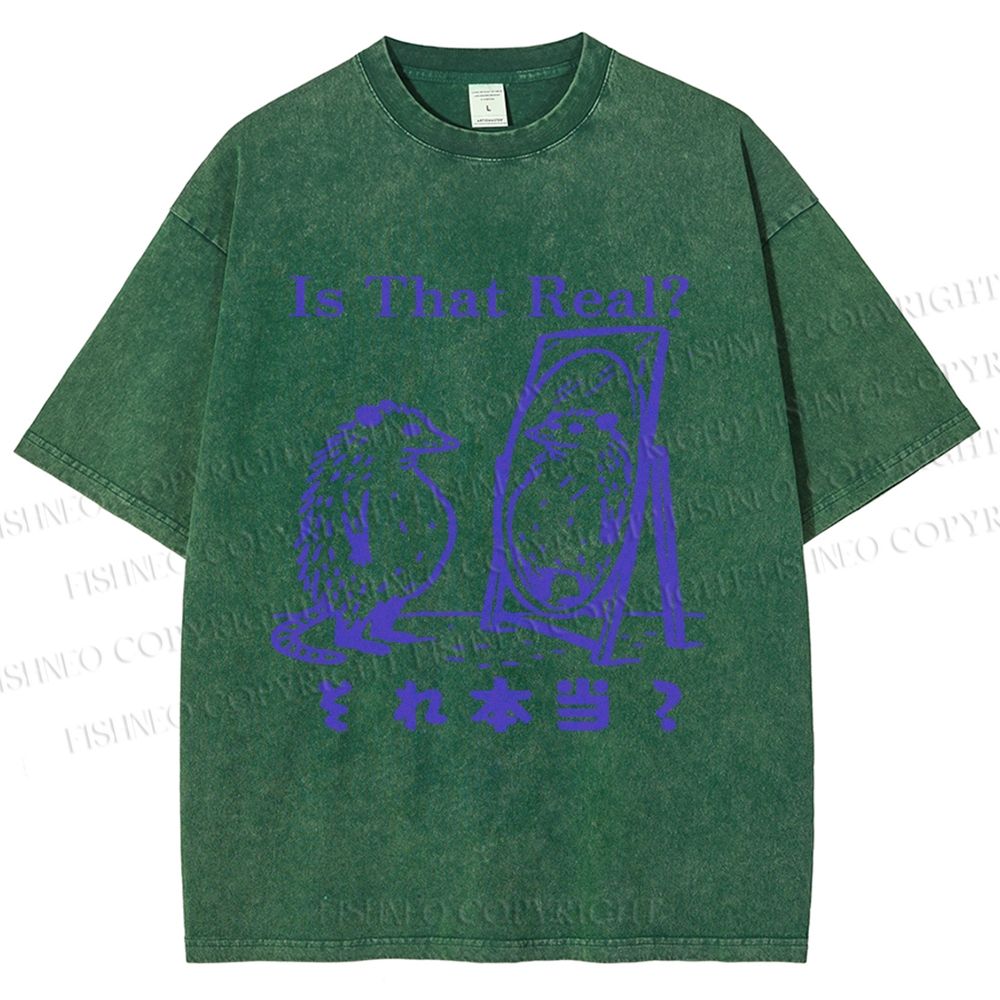 Unisex  Is That Real Funny Opossum In Mirror Printed Washed Tee
