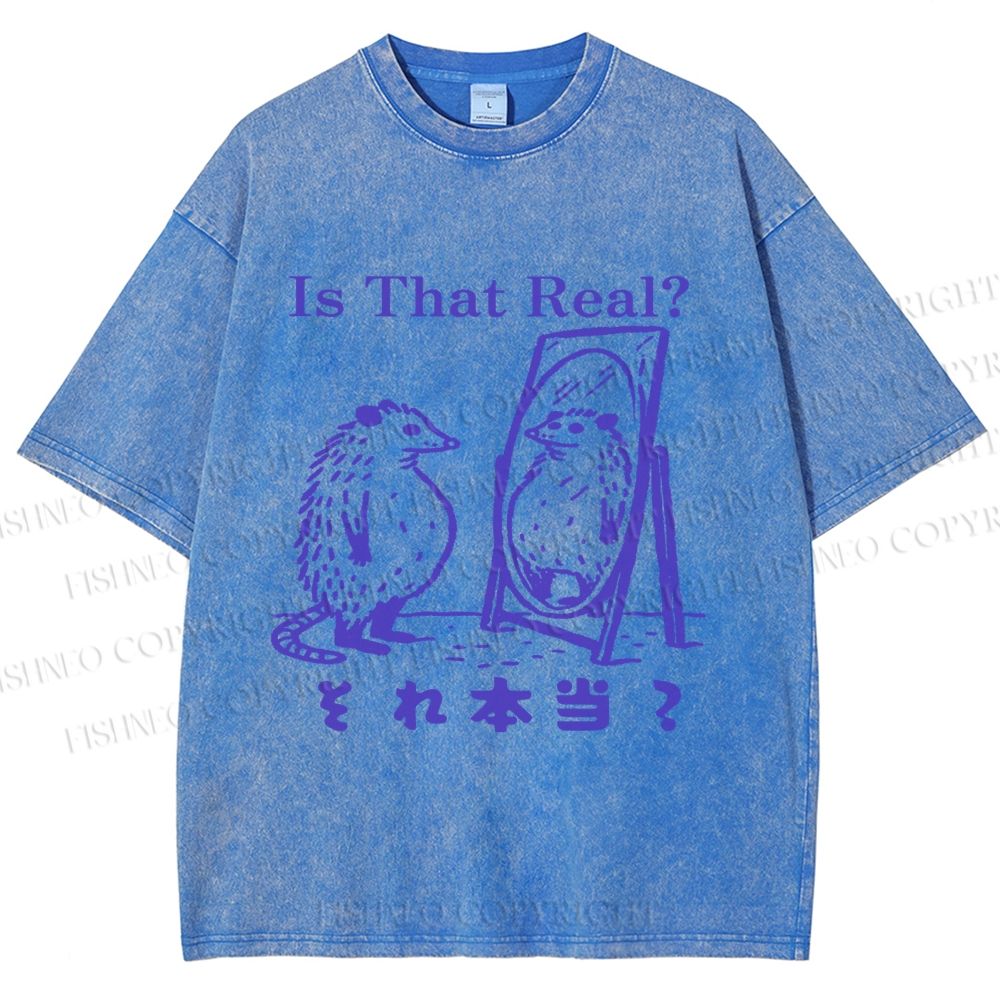 Unisex  Is That Real Funny Opossum In Mirror Printed Washed Tee