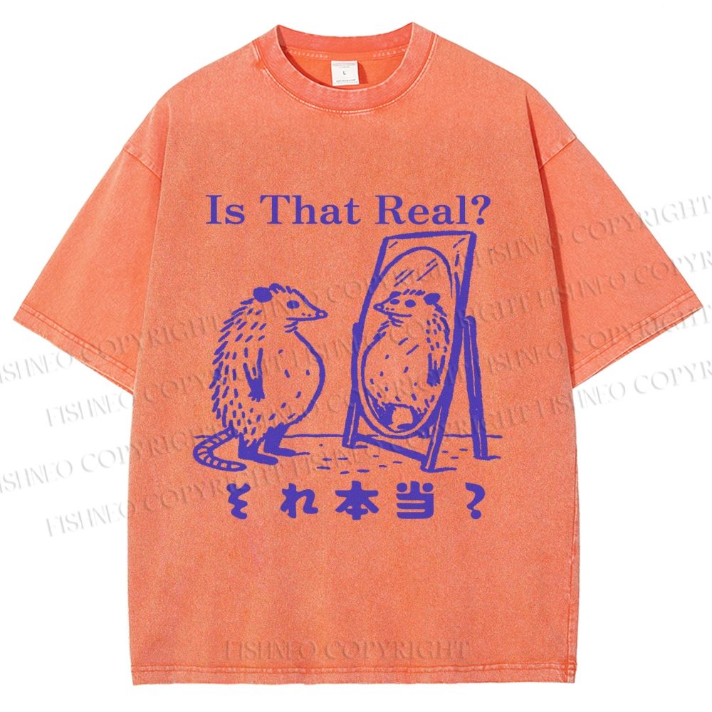 Unisex  Is That Real Funny Opossum In Mirror Printed Washed Tee