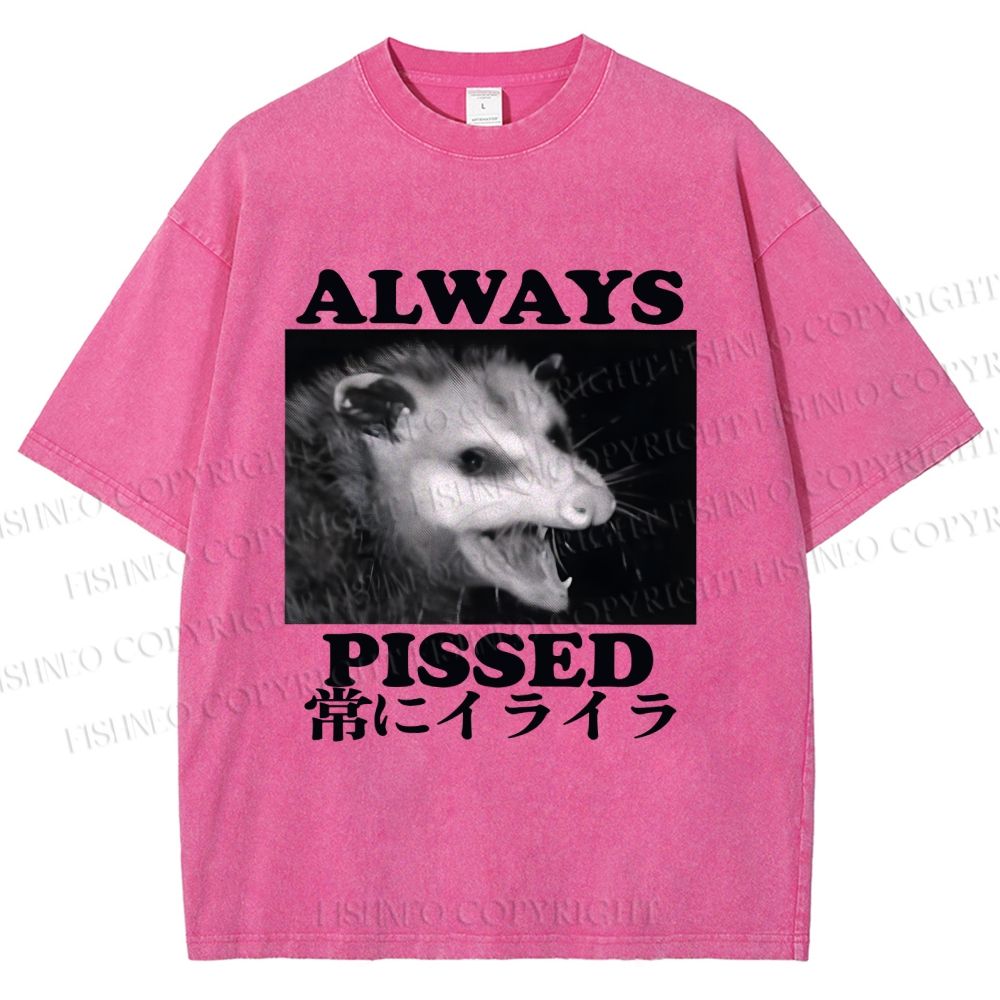 Unisex Screaming Opossum Always Pissed Printed Washed Tee
