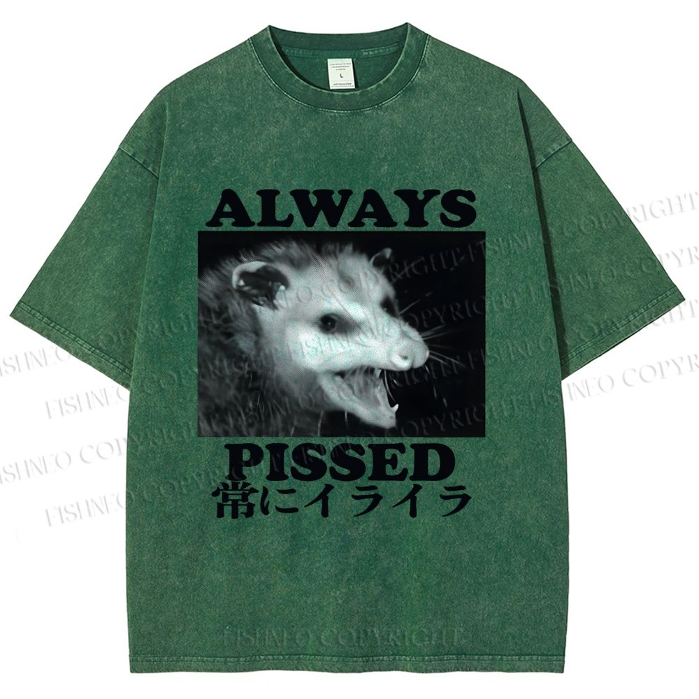 Unisex Screaming Opossum Always Pissed Printed Washed Tee