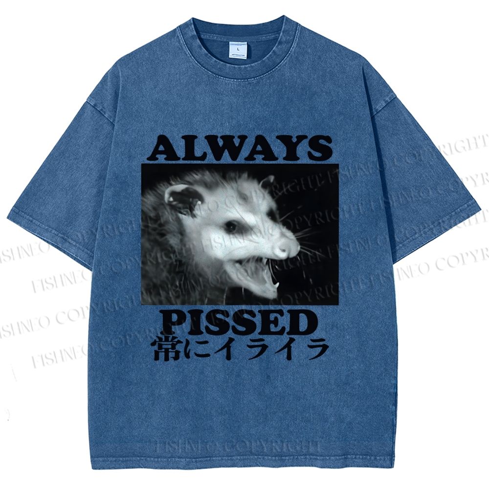 Unisex Screaming Opossum Always Pissed Printed Washed Tee