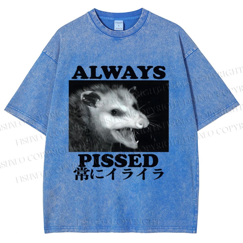 Unisex Screaming Opossum Always Pissed Printed Washed Tee