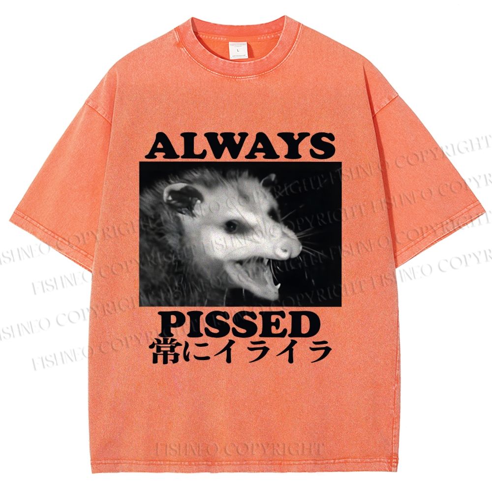 Unisex Screaming Opossum Always Pissed Printed Washed Tee