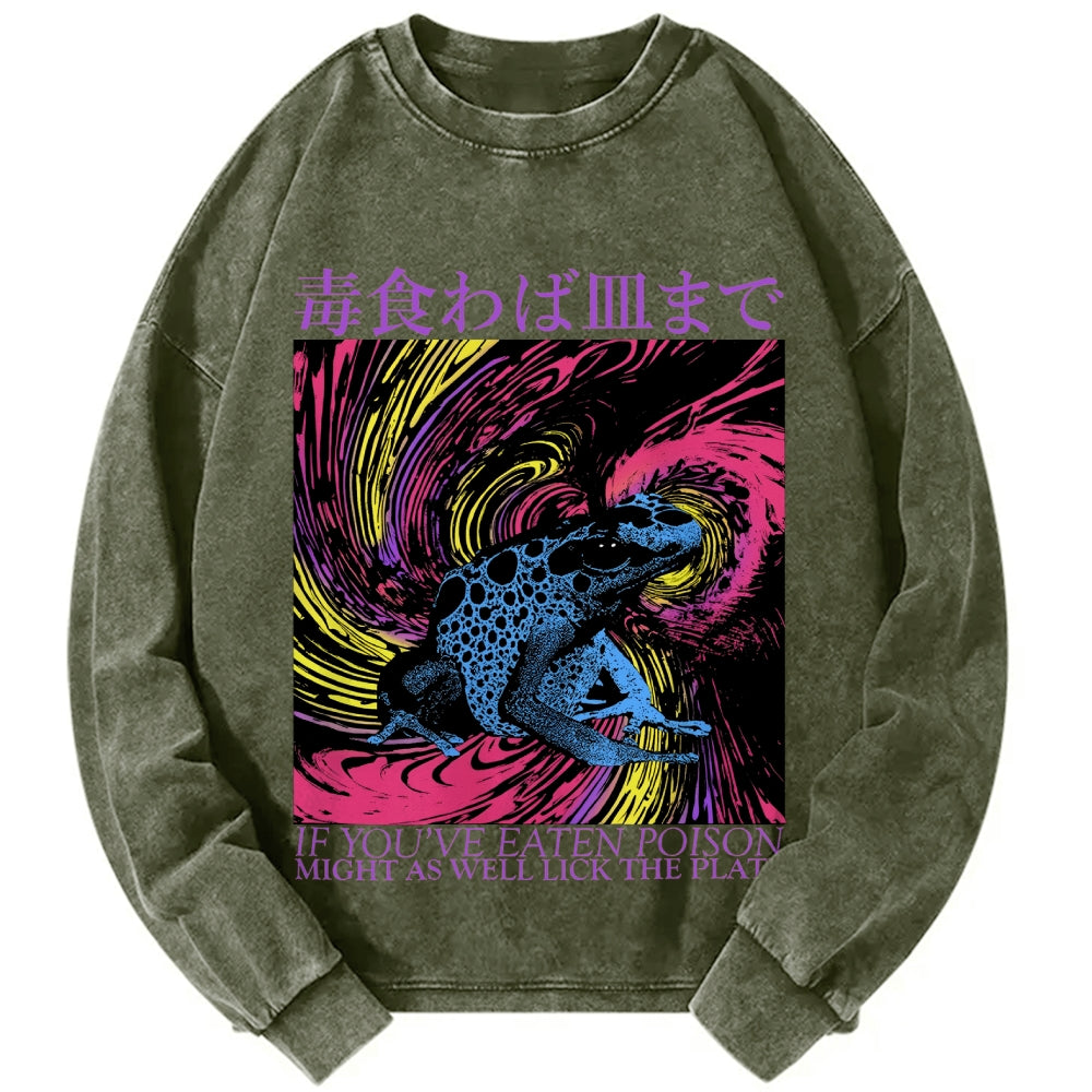Unisex Frog Japanese Proverb Art Vintage Washed Sweatshirts