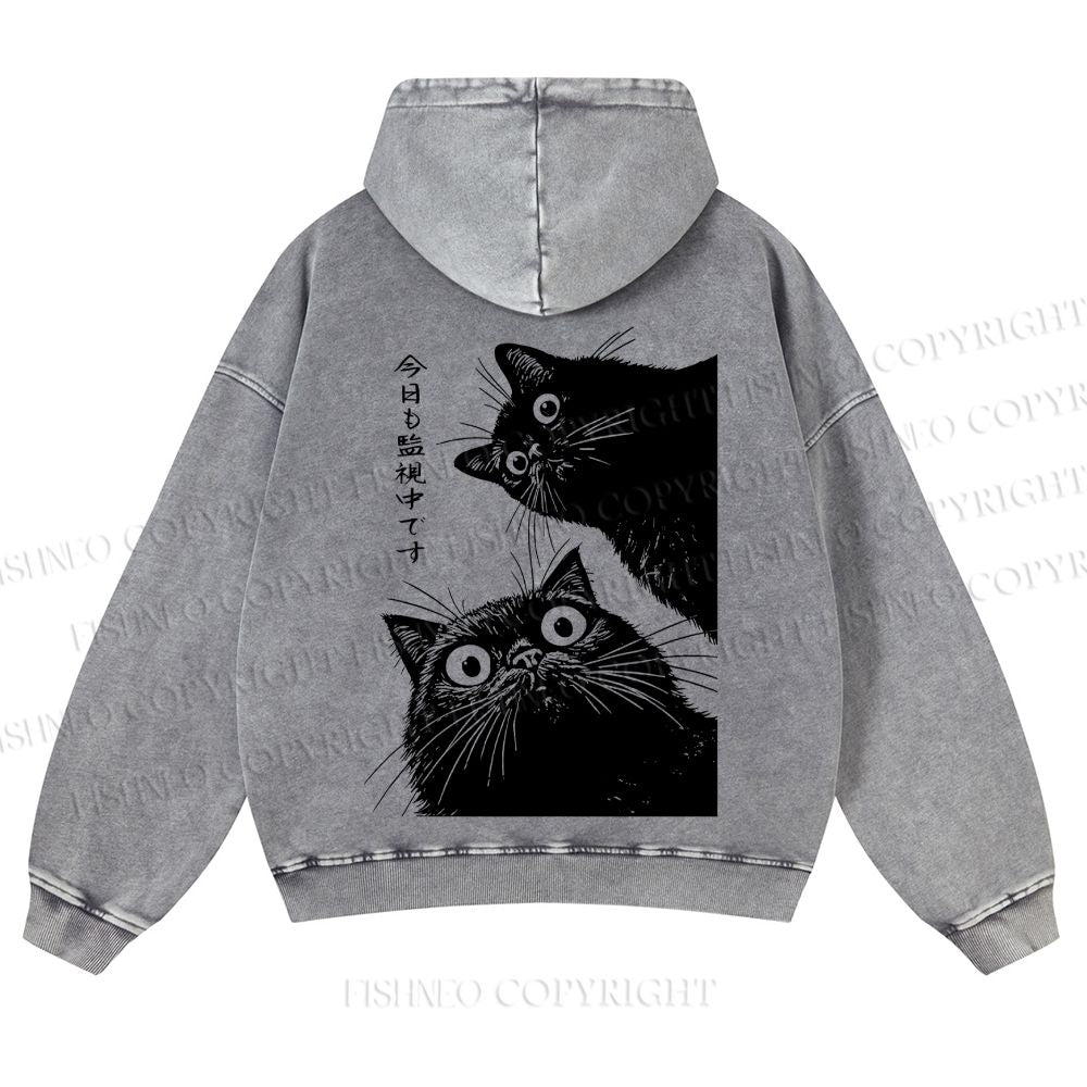 Casual Cat is Watching Today Washed Hoodie