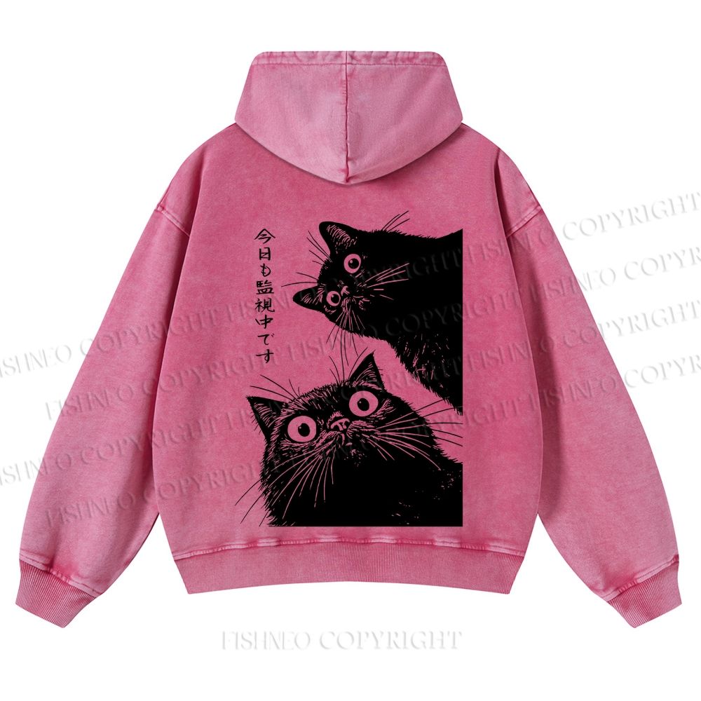 Casual Cat is Watching Today Washed Hoodie