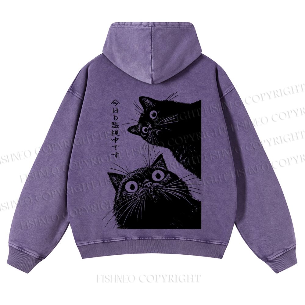 Casual Cat is Watching Today Washed Hoodie