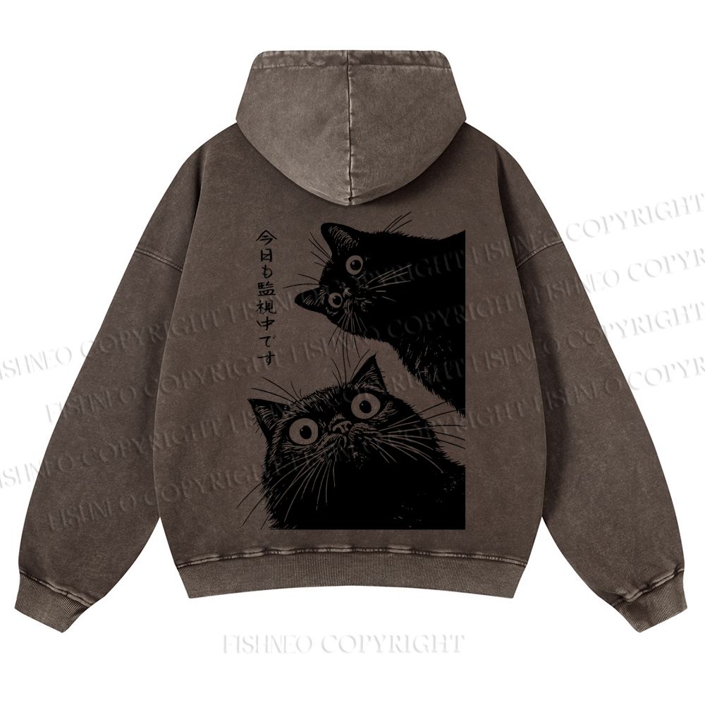 Casual Cat is Watching Today Washed Hoodie