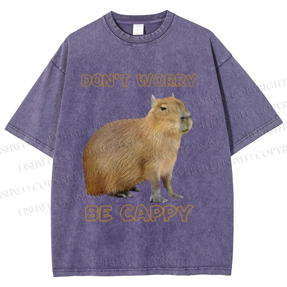 Unisex Do not worry Be cappybara Printed Washed Tee