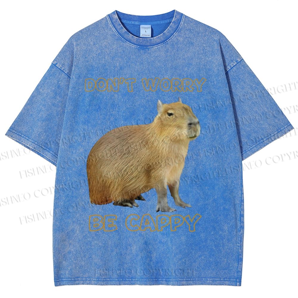 Unisex Do not worry Be cappybara Printed Washed Tee