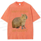 Unisex Do not worry Be cappybara Printed Washed Tee
