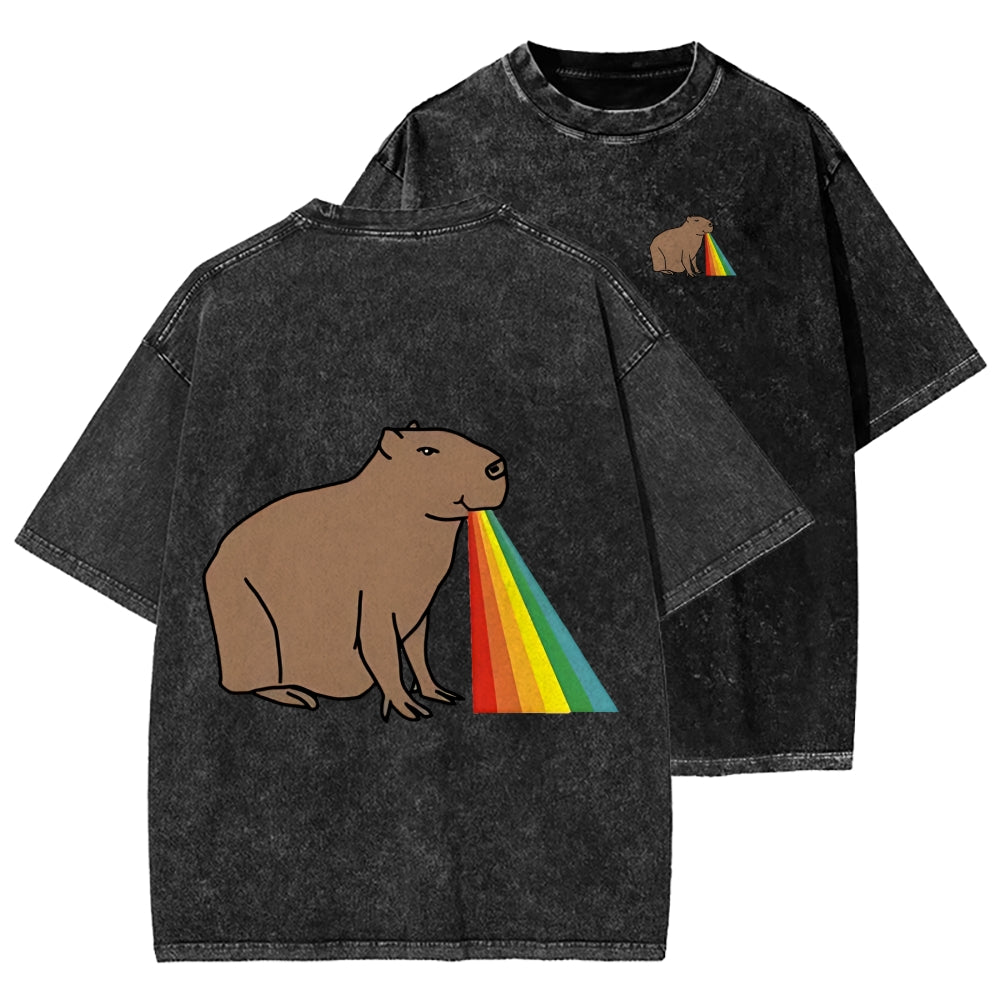 Unisex Capybara Rainbow Front And Back Printed Washed Tee