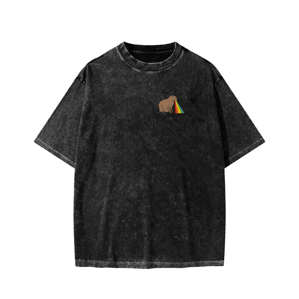 Unisex Capybara Rainbow Front And Back Printed Washed Tee