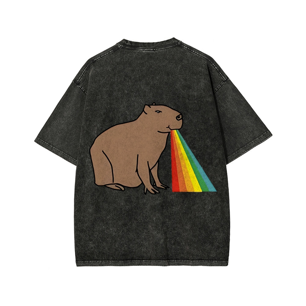 Unisex Capybara Rainbow Front And Back Printed Washed Tee