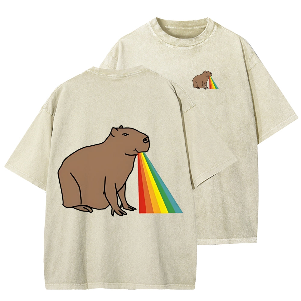 Unisex Capybara Rainbow Front And Back Printed Washed Tee