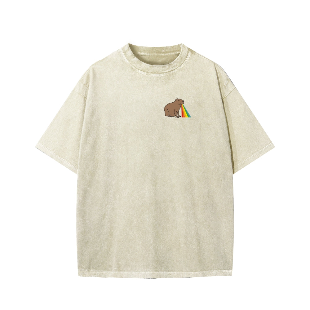 Unisex Capybara Rainbow Front And Back Printed Washed Tee