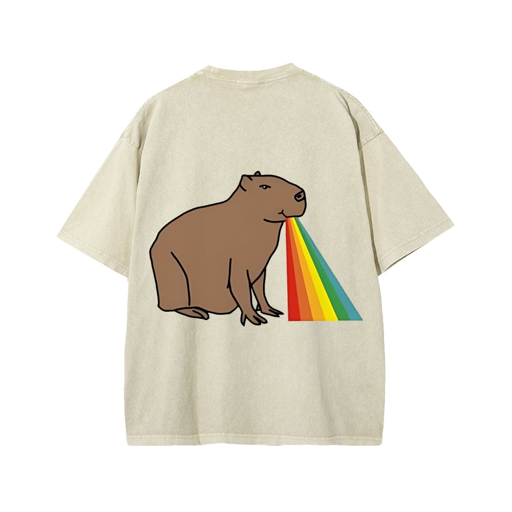 Unisex Capybara Rainbow Front And Back Printed Washed Tee