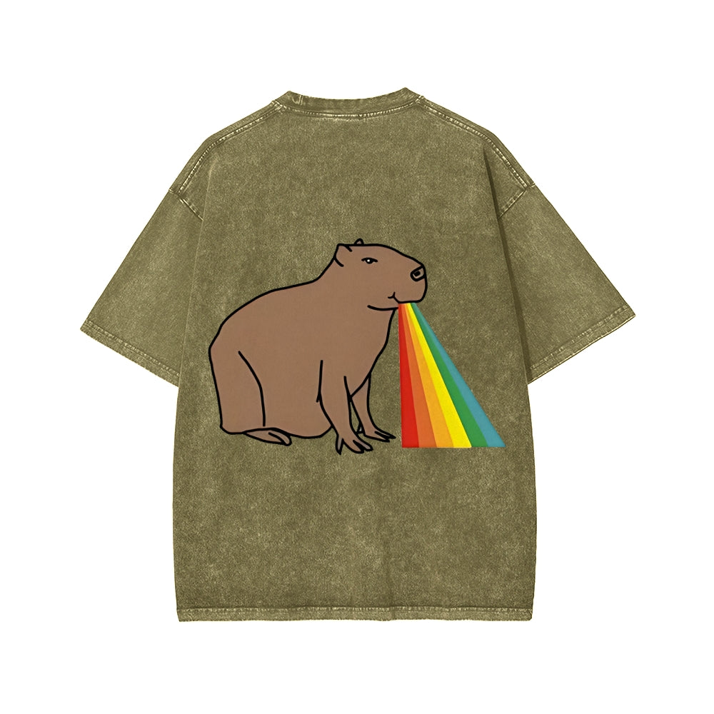Unisex Capybara Rainbow Front And Back Printed Washed Tee