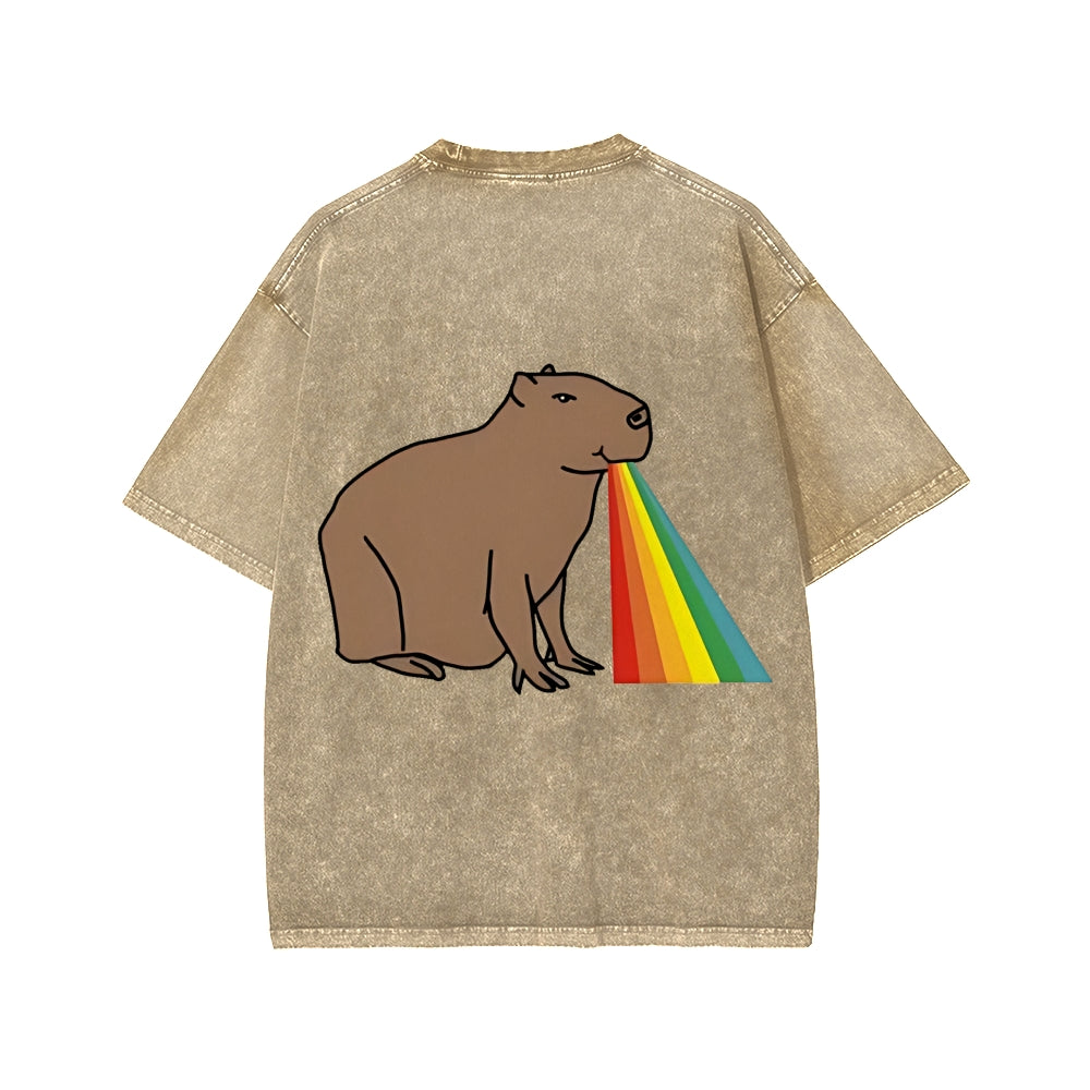 Unisex Capybara Rainbow Front And Back Printed Washed Tee