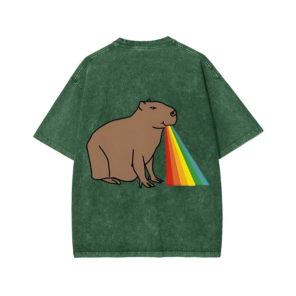 Unisex Capybara Rainbow Front And Back Printed Washed Tee
