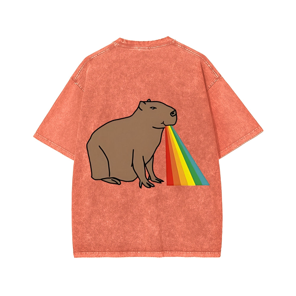 Unisex Capybara Rainbow Front And Back Printed Washed Tee