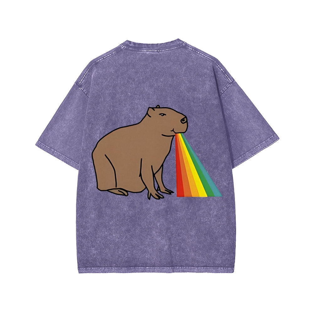 Unisex Capybara Rainbow Front And Back Printed Washed Tee