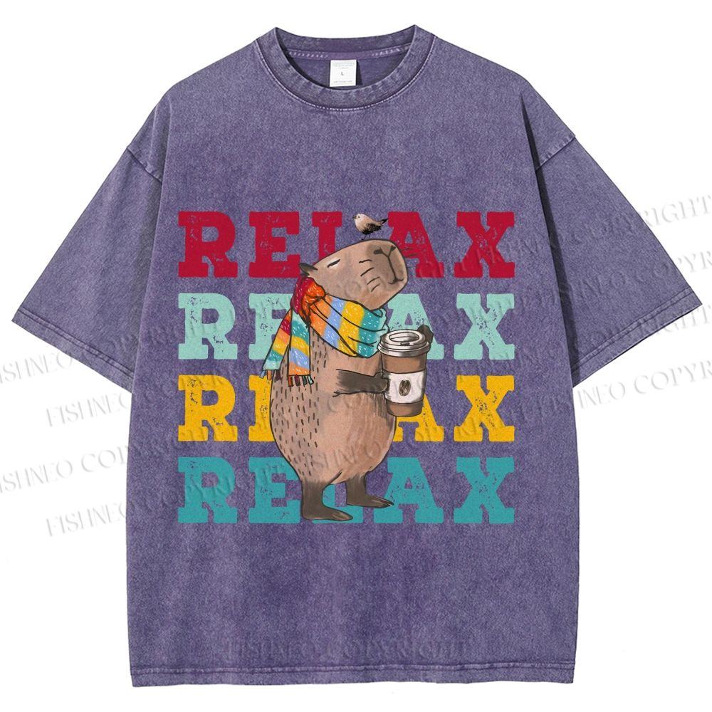 Unisex Chilling Capybara Relax Autumn Printed Washed Tee